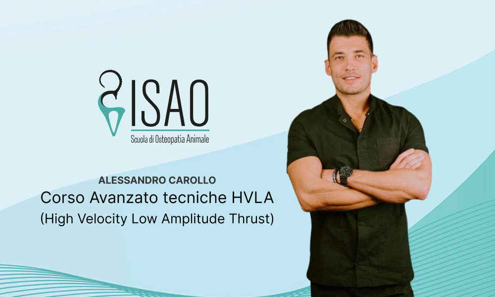 Alessandro Carollo Corso Avanzato tecniche HVLA (High Velocity Low Amplitude Thrust)